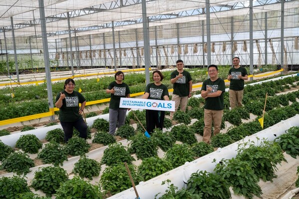 Saving 70% of water - New Irrigation System Revolutionizes Farming in Tropical Regions