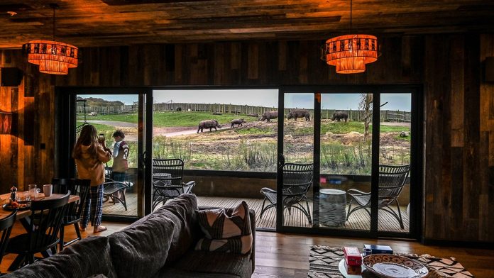 New Year, new adventure as travelers can sleep near wild animals while visiting safari park