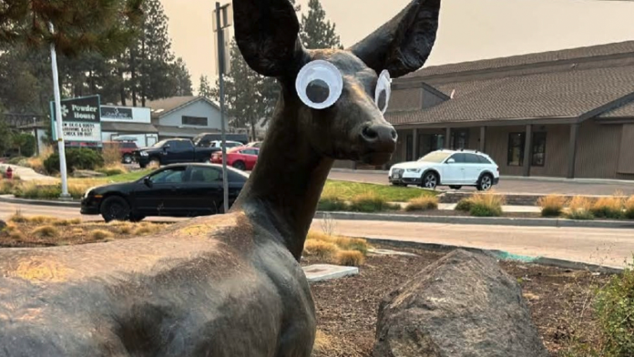 Man taking credit for mysterious, viral prank in Oregon speaks out