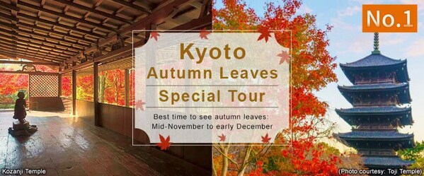 Experience Japan's Stunning Autumn with Fall Foliage and Hot Springs -- Carefully selected scenic routes for those planning a Japan trip in fall 2025