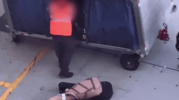 Baggage handler slammed after viral video shows guitars violently tossed on tarmac